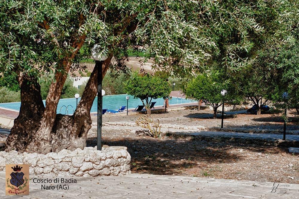 Coscio Di Badia Villa Naro Luaran gambar